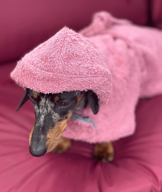 Dachshund drying robe,dog drying towel,dog towel ,dog dry coat,dachshund hooded drying towel