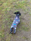 Miniature Dachshund Fleece Onesie: Water Repellent Dog Jumpsuit