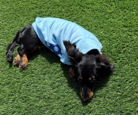 Dachshund  waterproof tummy fleece ,dachshund jumper ,dachshund jacket,mud and water repellent fleece , dachshund fleece