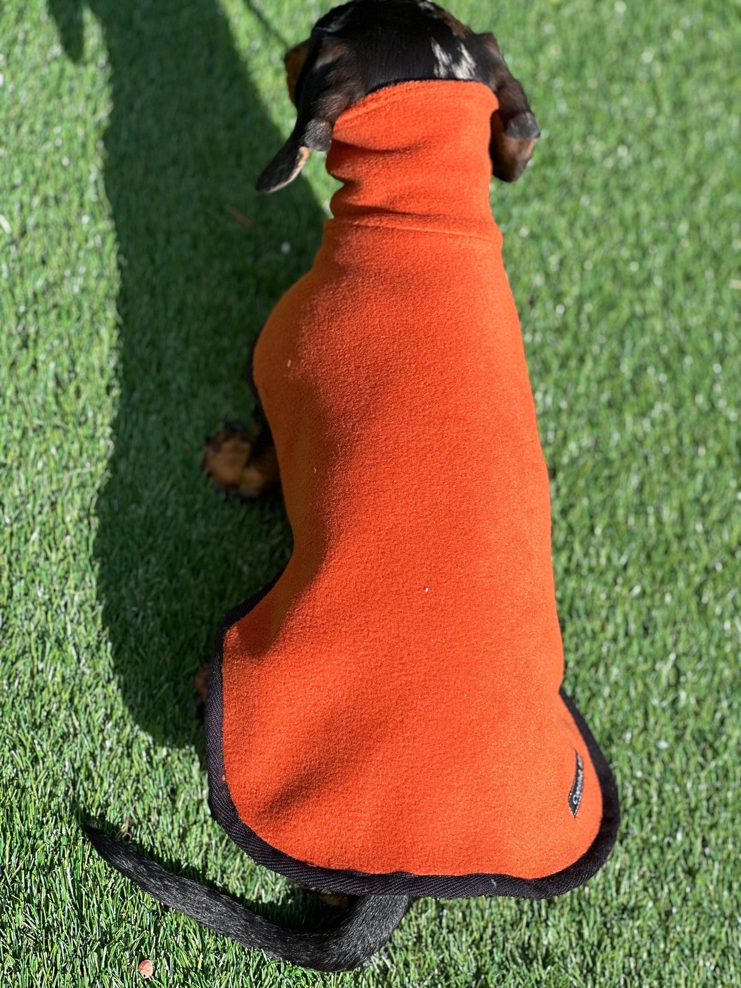 Dachshund Fleece Dog Coat: Mud Replacement, Double Layered, Custom Fit