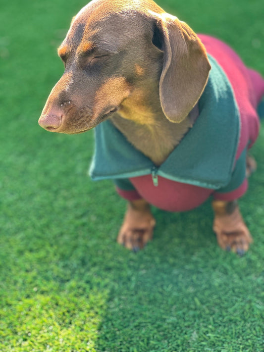 Dachshund  zipped neck  fleece ,dog jumper,dachshund legged jumper ,dachshund jumper , dachshund fleece,dachshund fleece jacket