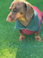 Dachshund  zipped neck  fleece ,dog jumper,dachshund legged jumper ,dachshund jumper , dachshund fleece,dachshund fleece jacket
