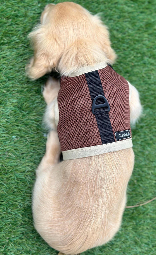 Dachshund harness ,dog harness ,dachshund dog vest , rub free harness