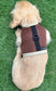 Dachshund harness ,dog harness ,dachshund dog vest , rub free harness