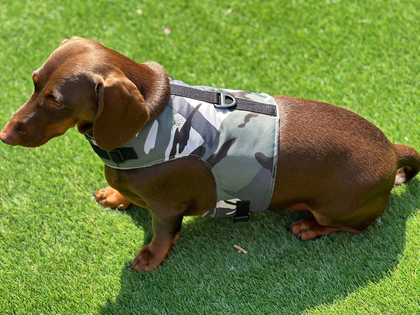 Waterproof Dachshund Harness: Fleece Lined, No-Rub Design