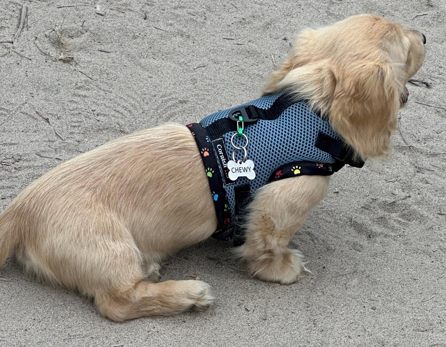 Made-to-Order Dachshund Harness: Petrol Spacer Mesh, No Armpit Rub