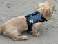 Made-to-Order Dachshund Harness: Petrol Spacer Mesh, No Armpit Rub