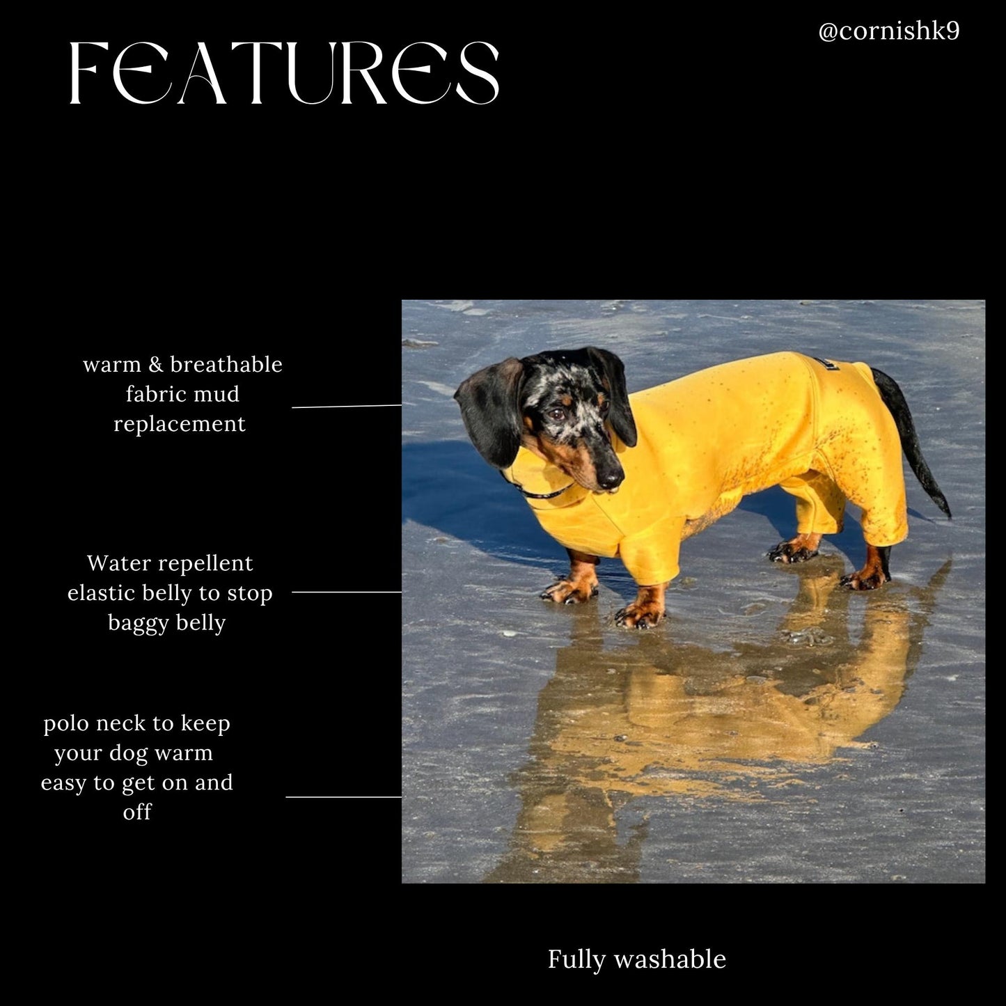 Mini Dachshund Neoprene Onesie: Stretchy Dog Jumpsuit