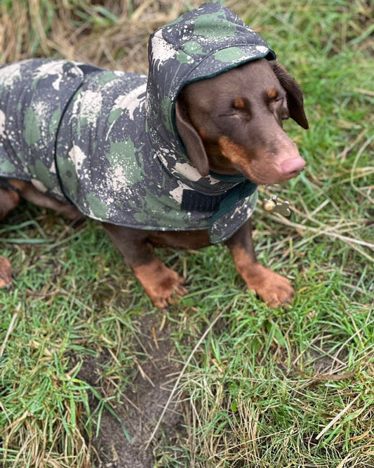 Waterproof Dachshund Softshell Dog Coat: Fleece Lined, Windproof