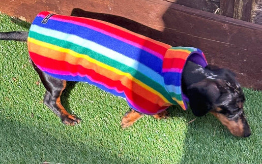 Dachshund Fleece Dog Coat: Double Layered, Water Repellent