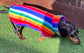 Dachshund Fleece Dog Coat: Double Layered, Water Repellent