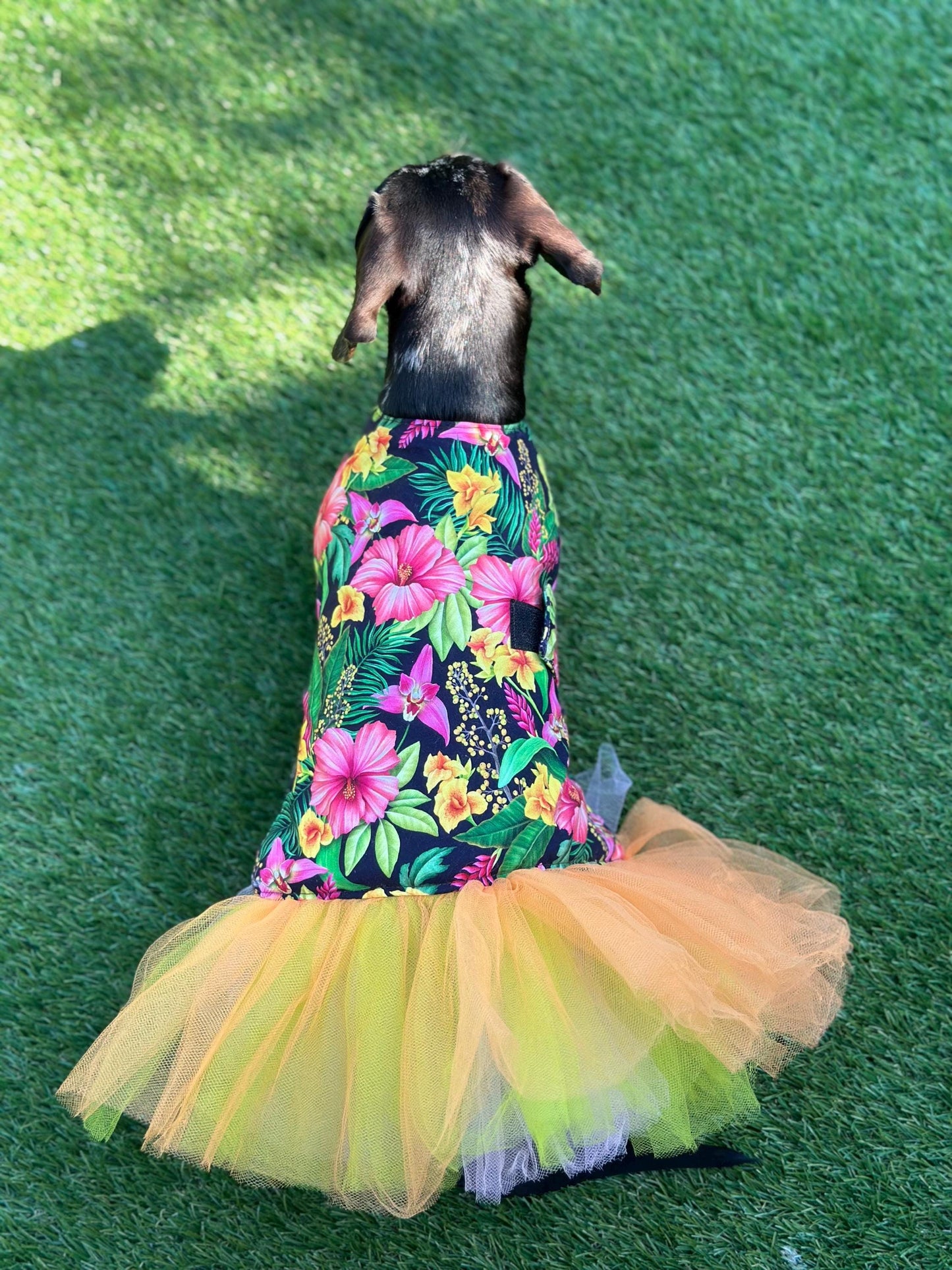 Dachshund tutu dog dress ,  dog dress , dog tutu ,dachshund tutu , pet accessories, dog party dress