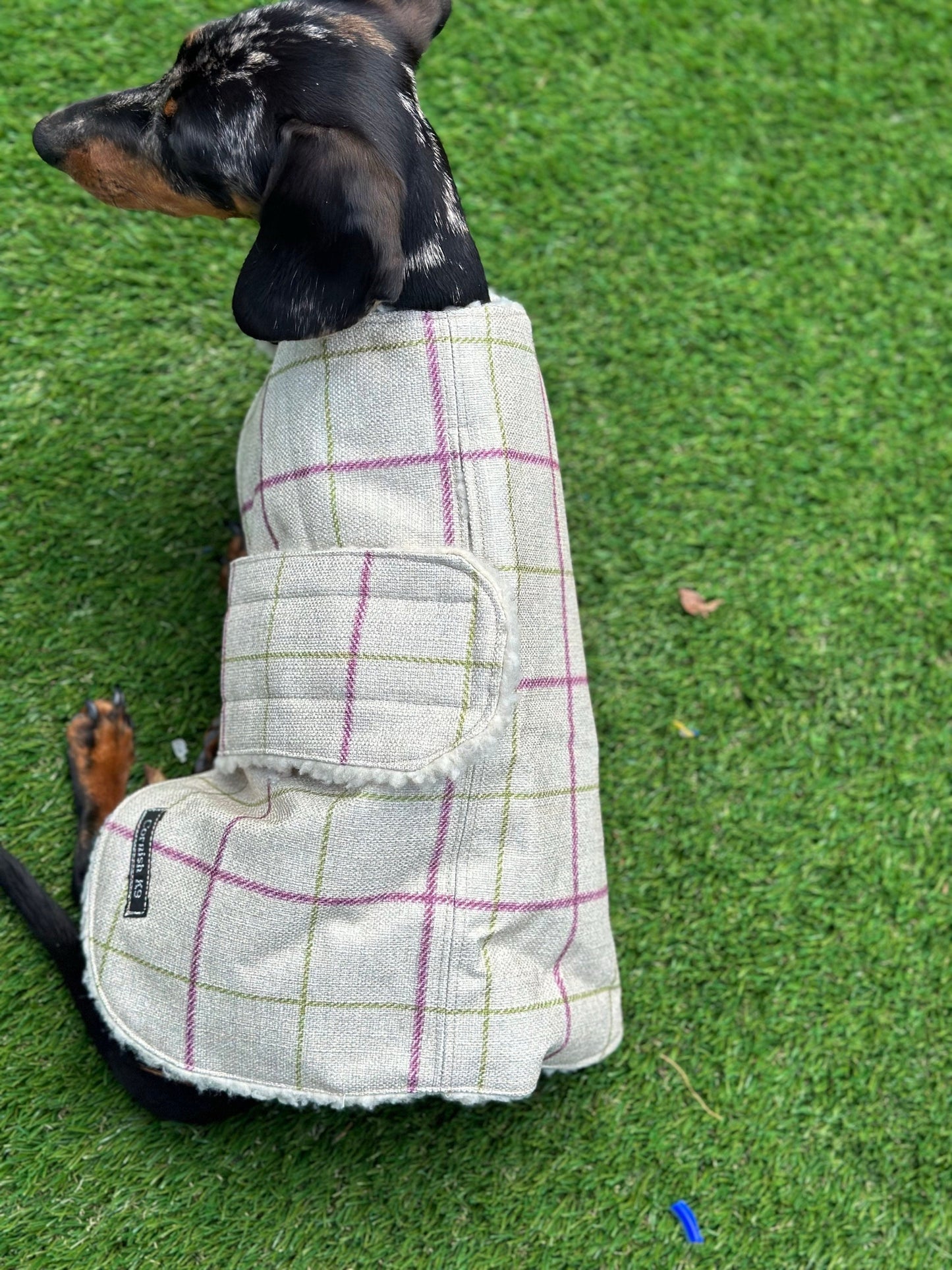 Water resistant dog coat, waterproof dog coat, shower proof dog coat ,pet lover, pet accessories,dachshund dog coat