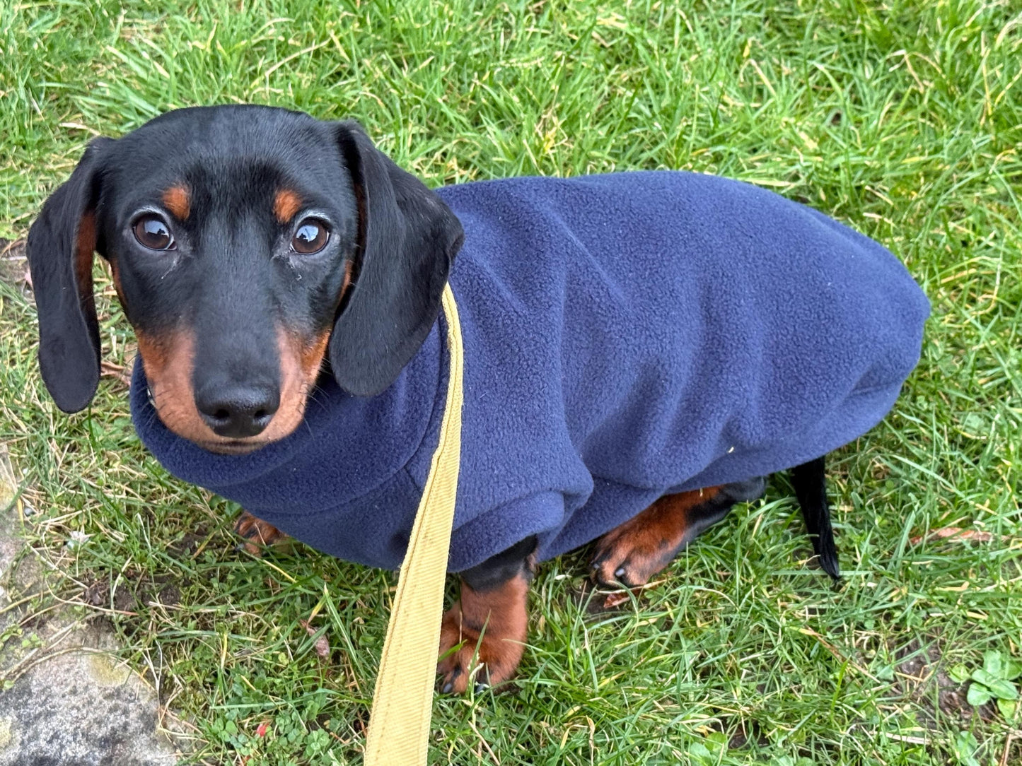 Embroidered Initial Dachshund Fleece Jumper: Water Repellent Dog Coat