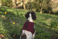 Made-to-Measure Corduroy Dog Harness: Fleece Lined, Adjustable Fit