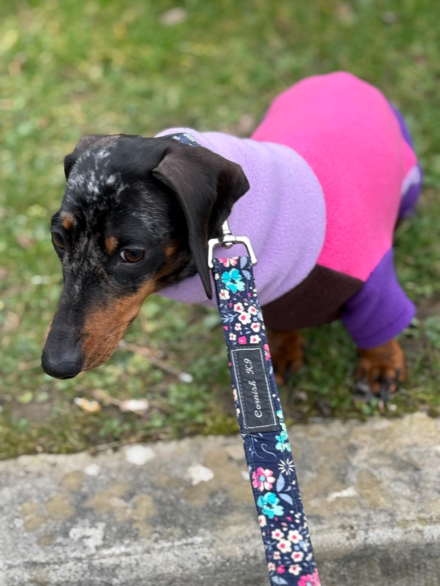 Miniature Dachshund Fleece Onesie: Water Repellent Dog Jumpsuit