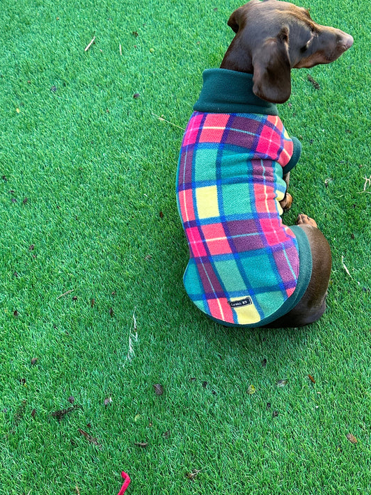 Dachshund  waterproof Softshell tummy fleece ,dachshund jumper ,dachshund jacket,water and mud repellent fleece , dachshund fleece