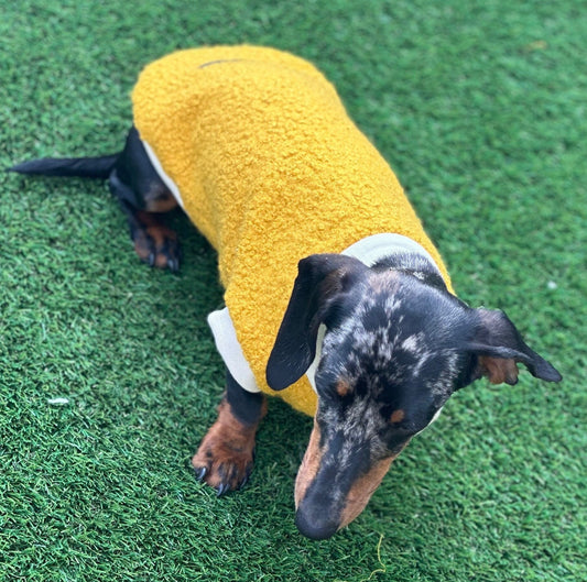 Boucle Dachshund Fleece Jumper: Cozy Thermal Small Dog Coat