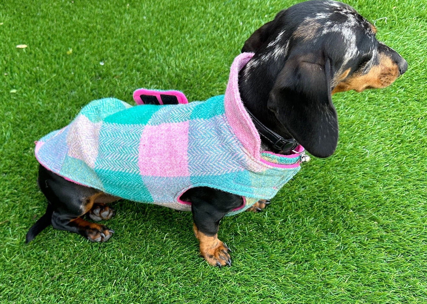 Harris Tweed Dachshund Coat: Fleece Lined Wool Dog Jacket