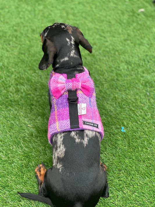 Harris Tweed Dachshund Harness: Fleece Lined Dog Vest with Bow