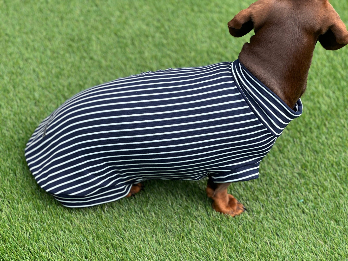 Dachshund Stripe Jersey Jumper: Washable Dog T-Shirt