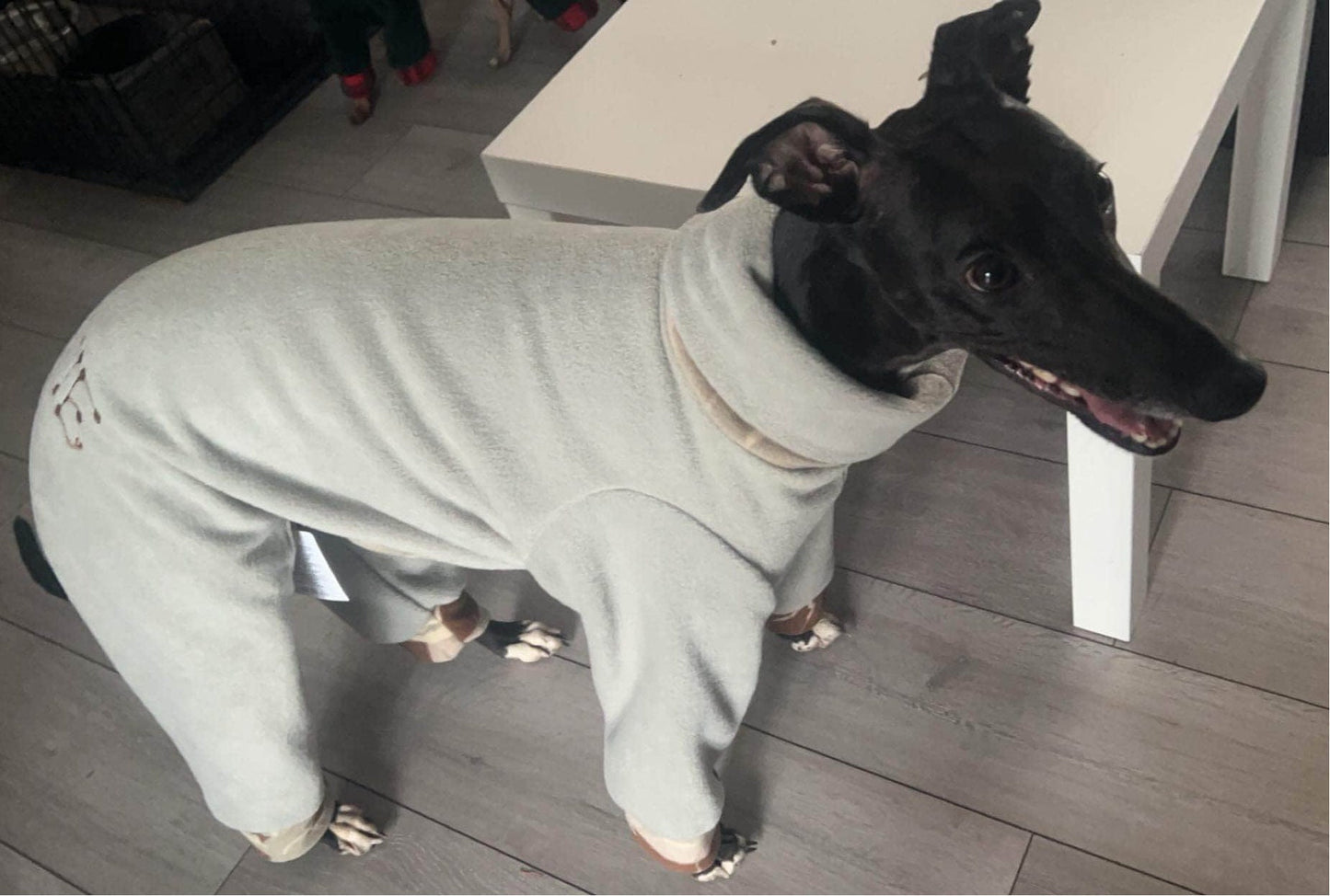 Whippet Fleece Jumpsuit: Water & Mud Repellent Dog Pajamas