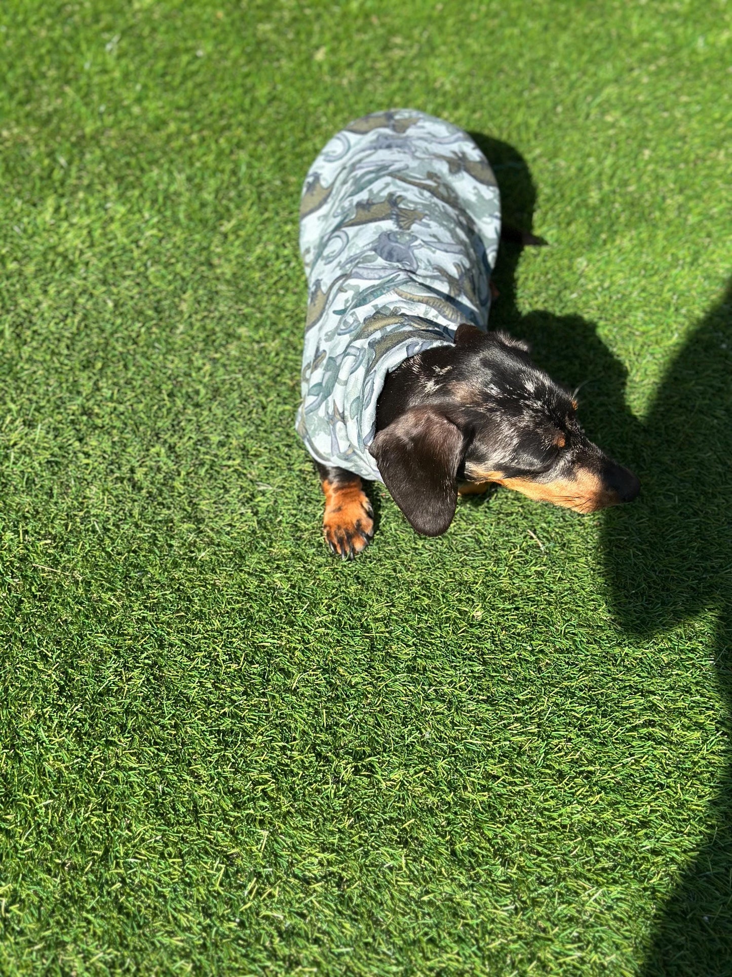Dachshund dino  top,Daxie jumper,dachshund jumper ,dachshund  jersey jumper,washable dog jumper, dachshund tank top
