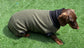 Boucle Fleece Dachshund Onesie: Cozy Small Dog Jumper