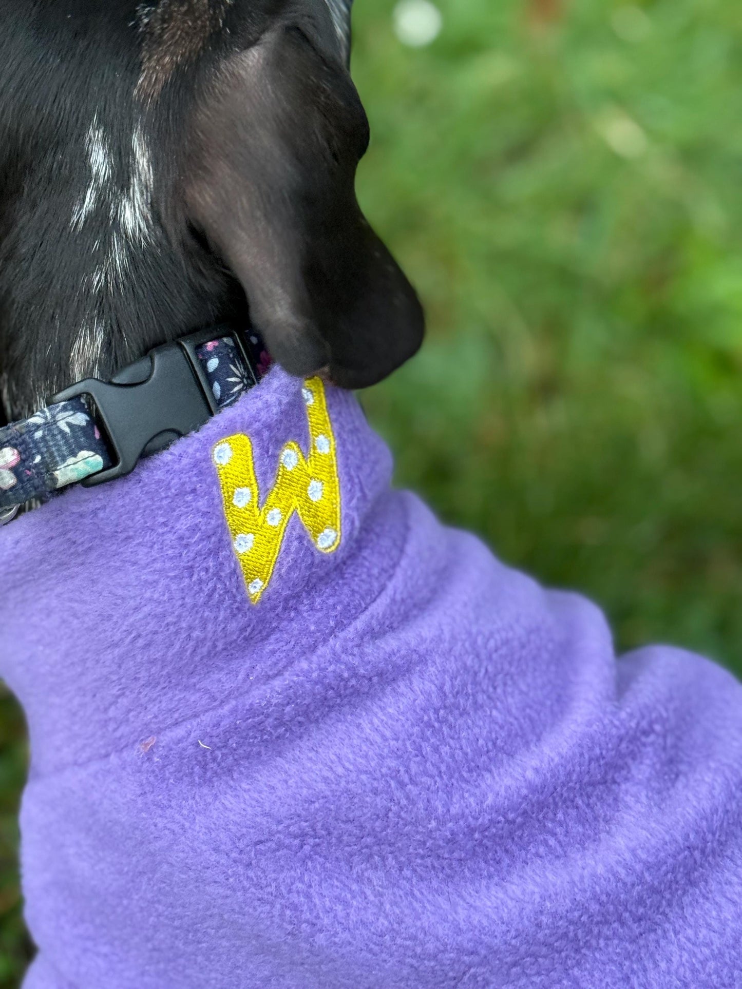 Embroidered Initial Dachshund Fleece Jumper: Water Repellent Dog Coat