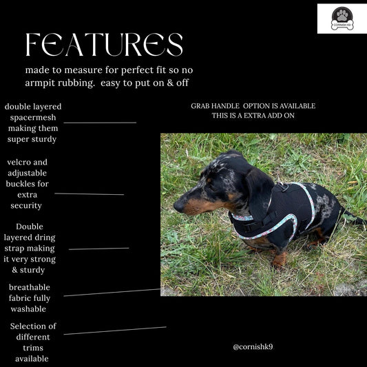 Made-to-Order Dachshund Harness: Petrol Spacer Mesh, No Armpit Rub