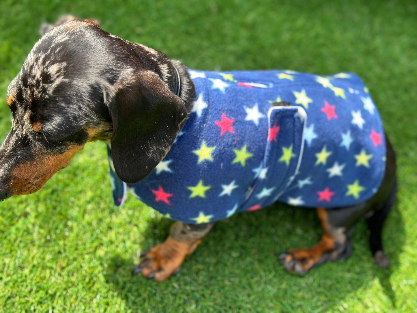 Dachshund Fleece Dog Coat: Navy Star Print, Water Repellent