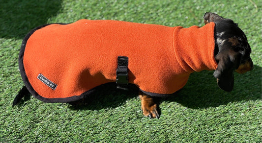 Dachshund Fleece Dog Coat: Mud Replacement, Double Layered, Custom Fit