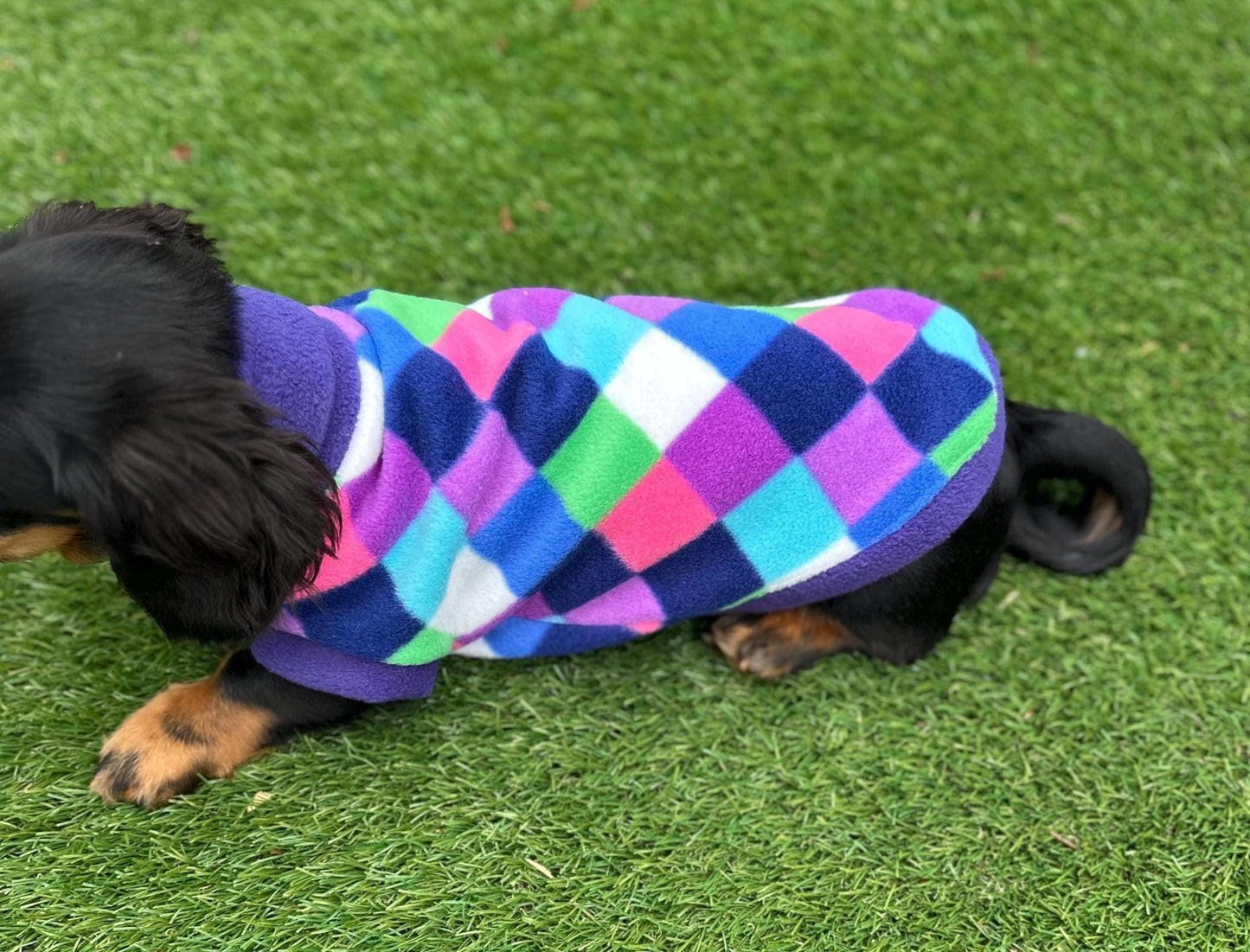Dachshund Fleece Dog Jumper: Water & Mud Repellent, Breathable, Multi-Colored
