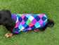 Dachshund Fleece Dog Jumper: Water & Mud Repellent, Breathable, Multi-Colored