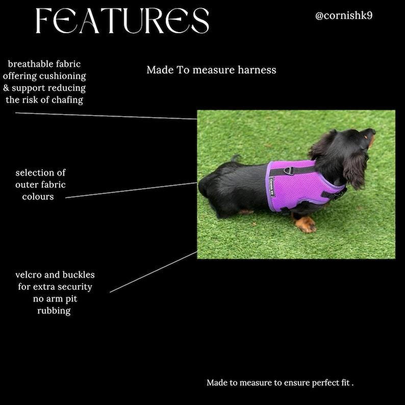 Italian greyhound harness ,dog harness ,made to measure dog harness ,no arm pit rub harness,rub free harness