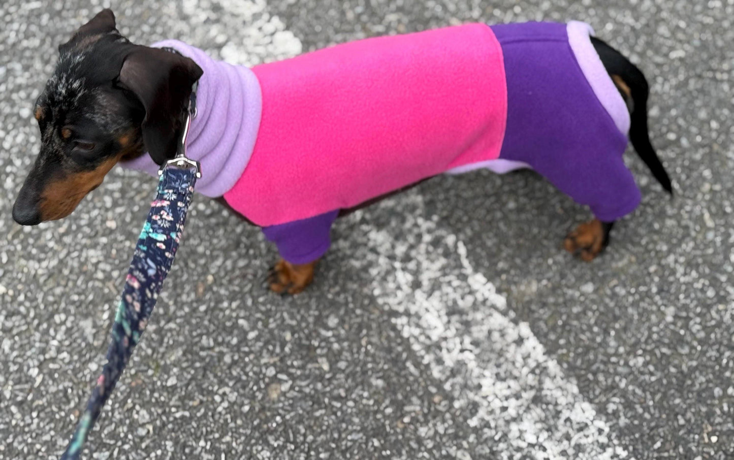 Miniature Dachshund Fleece Onesie: Water Repellent Dog Jumpsuit
