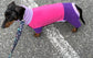 Miniature Dachshund Fleece Onesie: Water Repellent Dog Jumpsuit