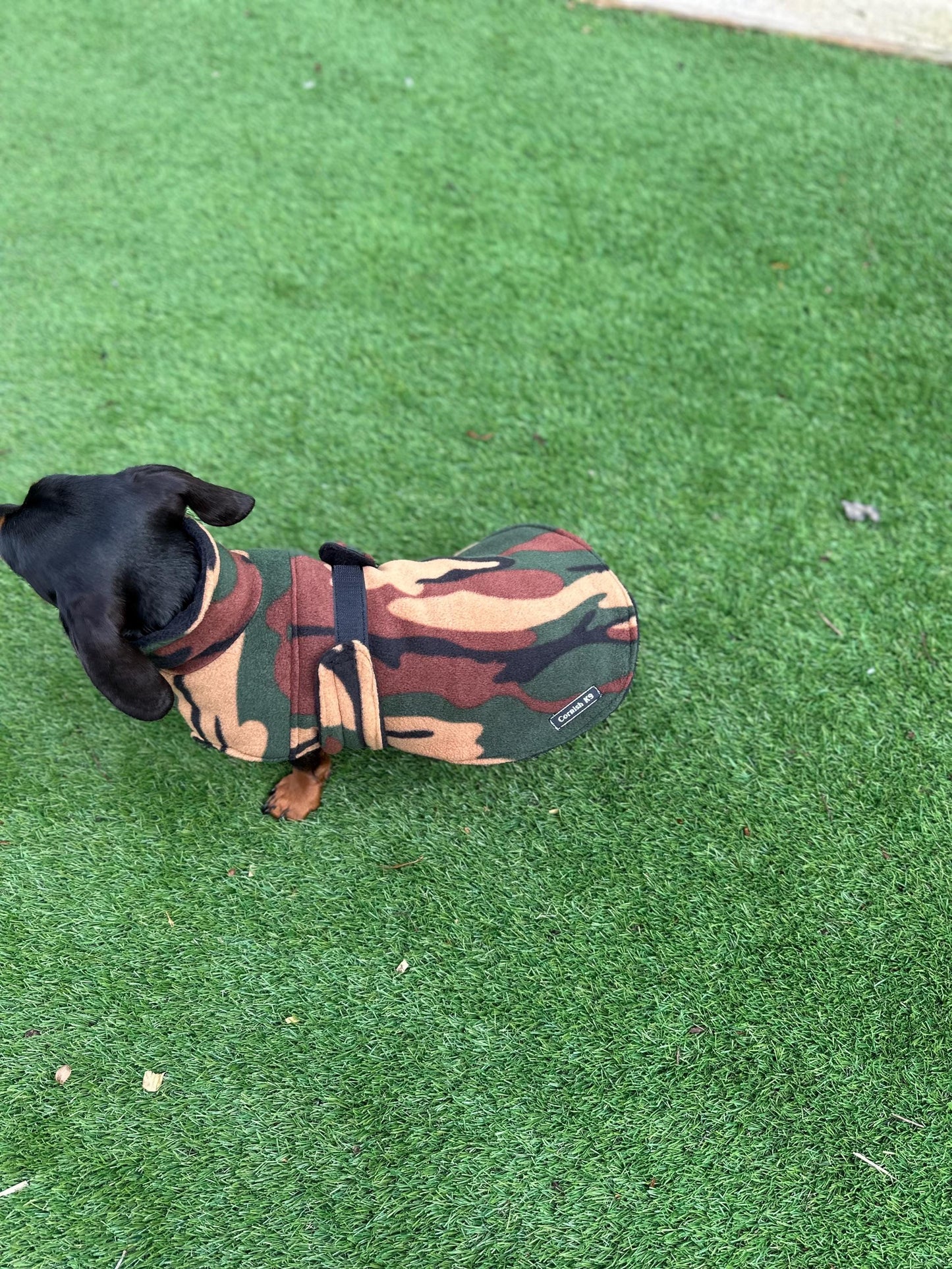 Fleece Dachshund Coat: Water Repellent Dog Jumper, Custom Fit