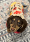 Personalized Dachshund Fleece Jumper: Water Repellent Dog Coat