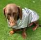 Reflective Dachshund Quilted Dog Coat: Waterproof Winter Jacket