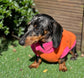 Water Repellent Dachshund Fleece Jumper: Open Neck Dog Coat