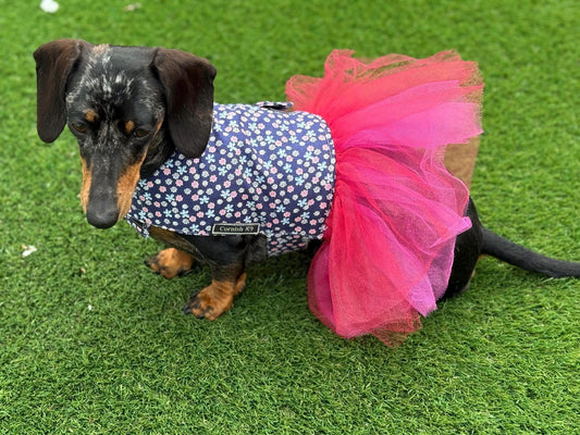 Dachshund Tutu Dog Dress: Custom Fit Cotton Tunic