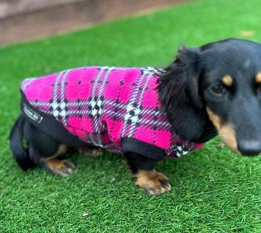 Dachshund Fleece Dog Jumper: Breathable, Water-Resistant, Warm