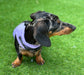 Waterproof Quilted Dachshund Harness: Fleece Lined, No-Rub Design