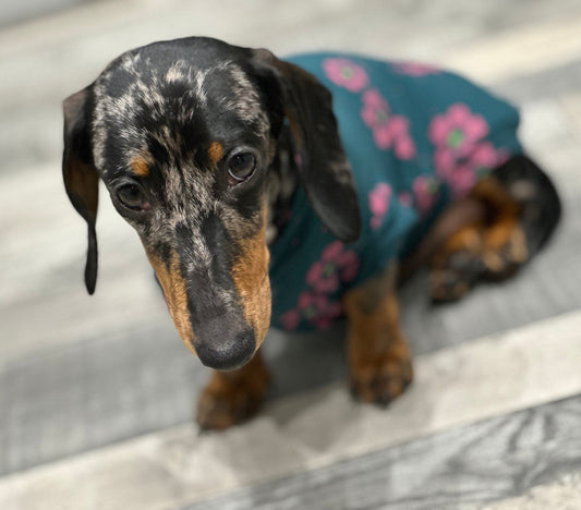 Dachshund Cooling Top: Pink Flowers on Emerald Green Viscose