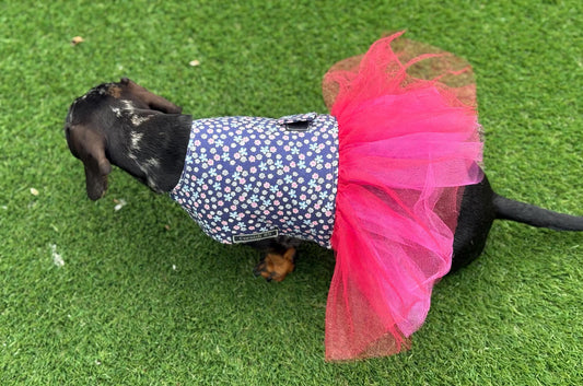 Dachshund Tutu Dog Dress: Custom Fit Cotton Tunic
