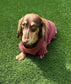 Bamboo Dachshund T-Shirt: Anti-Allergy Cooling Dog Top