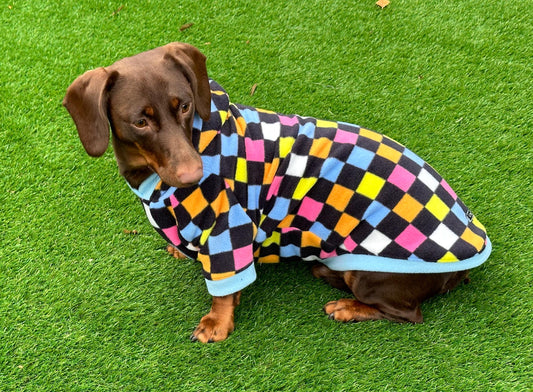Dachshund Fleece Hoodie: Water & Mud Repellent Dog Coat