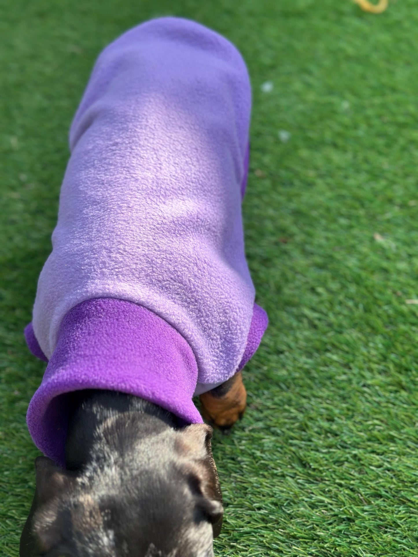 Waterproof Dachshund Fleece Jumper: Eco-Friendly Dog Suit