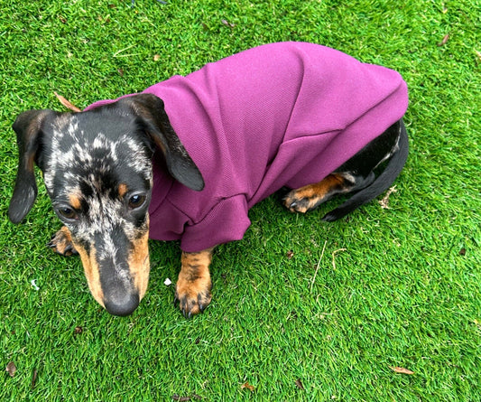 Dachshund ribbed top,Daxie jumper,dachshund jumper ,dachshund rib  jumper,washable dog jumper, dachshund tank top
